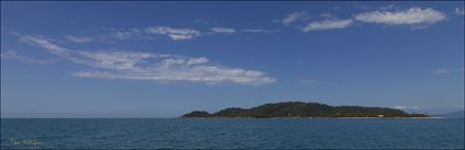 Bedarra Island - QLD (PBH4 00 15104)